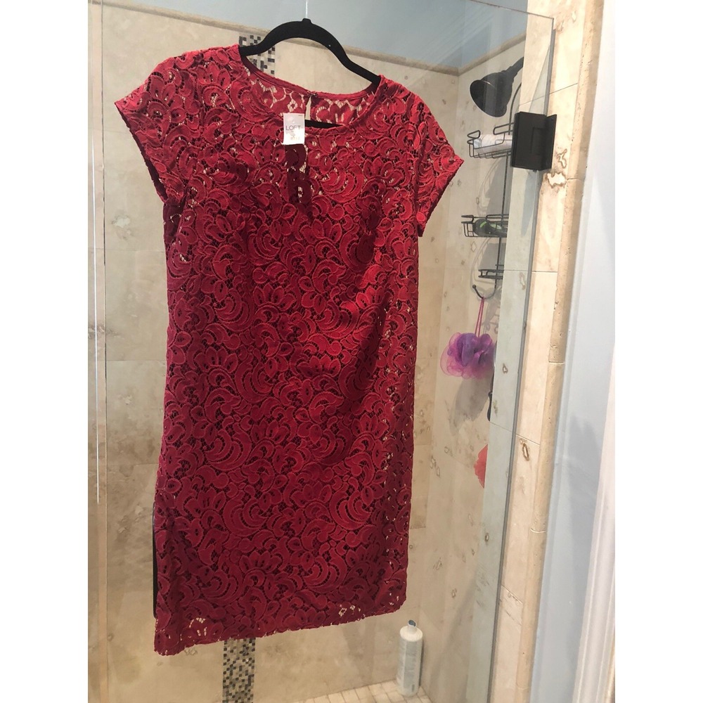Ann Taylor LOFT Cap Sleeve Eyelet Cut-Out Lace Dress Maroon Cotton S 4 New Nwt